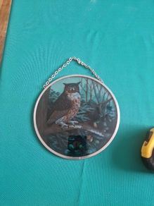 owl