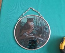 owl