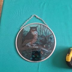 owl
