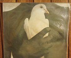 Santana greatest hits LP