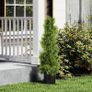 Artificial Cypress 90 cm Spiral Topiary, Plastic Potted Artificial Plant, Modern Decoration Image 4