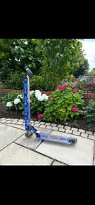 Micro scooter