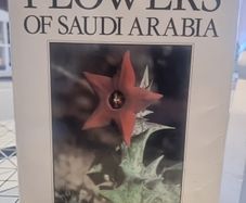 An illustrated guide to the flowers of Saudi Arabia (Hard covers, dust jacket