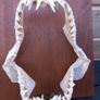 longfin mako shark jaw 8 inches wide X 9 inches tall Image 2