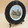 Vintage Arklow Pottery  Gamebird  Plate , Decorative Plate Image 2