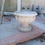 garden Image 2