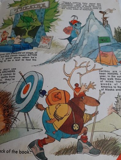 vintage Bimbo annual 1984