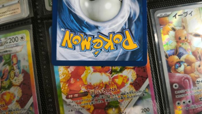 Mega Heracross EX ! Ultra Rare ! from Phantasmal Flames Set ! 2025 ! Pokemon Card !