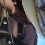Harley Benton Guitar MAX Fusion Signature HO Image 3