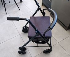 Mobility Walker with Seat