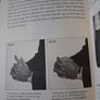 What Every Body is Saying/ Guide to Speed-reading People/ Joe Navarro/1st ed./ 2008 Image 8