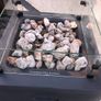 Gas Fire Pit Image 7