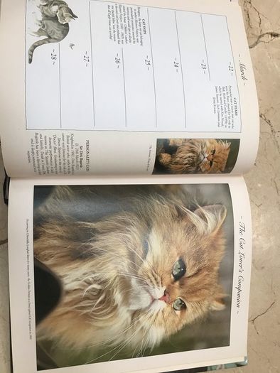 Cat Companion birthday book