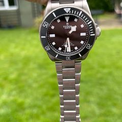 Tudor Pelagos 39mm Titanium
