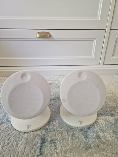 Focal Dome Speakers