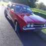 Ford Cortina 1600 Image 2