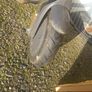 Scooter Image 5