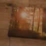 3 piece canvas wall art Image 2