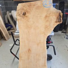 Live Edge Sycamore Slab
