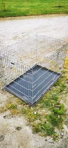 xl dog crate