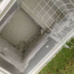 Large freezer for free