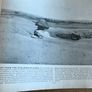 Antique Book 'The Man of Galilee' Image 10