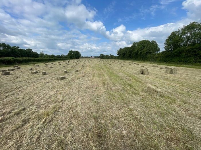 Square bales of hay North Galway