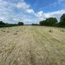 Square bales of hay North Galway Image 8