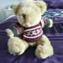 The Bear Collection - Backpacking Travel Bear Image 4