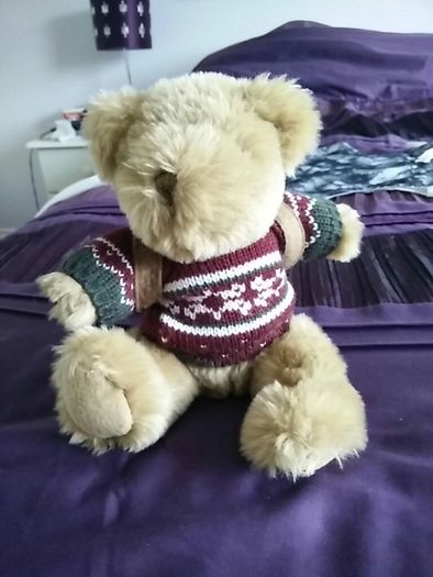 The Bear Collection - Backpacking Travel Bear