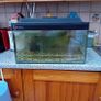 Fish tank Image 4