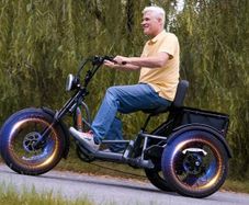 Meetone Tour Trike (final price reduction)|  amazing Torque Sensor  | max speed 40 kmph | 2 x750 watts dual motors | 200km range, dual batteries | < 1/2 price