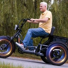 Meetone Tour Trike (final price reduction)|  amazing Torque Sensor  | O to 25kmph (without limiter up to 40kmph) | 2 x750 watts dual motors | 200km range, dual batteries | < 1/2 price