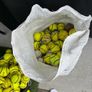 Sliotars 325 Image 3