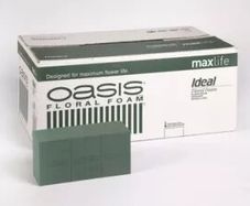Oasis Floral Foam