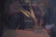 Matthew Herbert big band the state between us triple lp