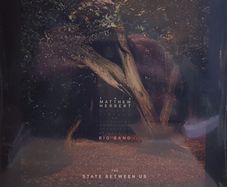 Matthew Herbert big band the state between us triple lp