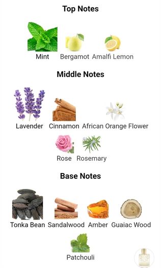 Parfums De Marly Darley