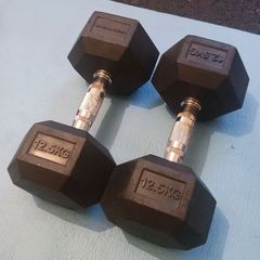 12.5kg hex dumbbell