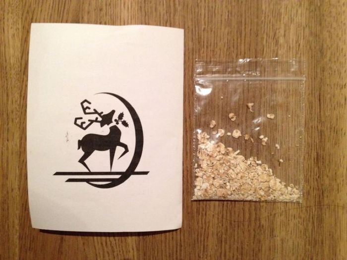 Reindeer food!