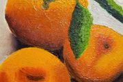 Sill life oranges scene 2