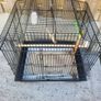 bird cage Image 2