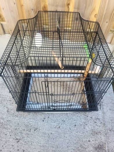 bird cage