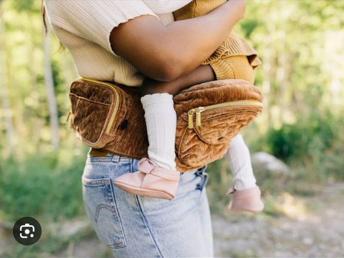 Tushbaby hip carrier