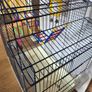 Parrot cage for sale great condition Image 3