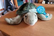 Gorgeous soft toy - turtle from Blue Planet