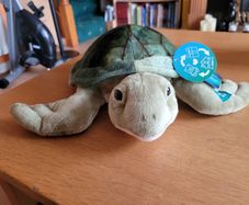Gorgeous soft toy - turtle from Blue Planet