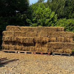 Small square bales of rushes/hay