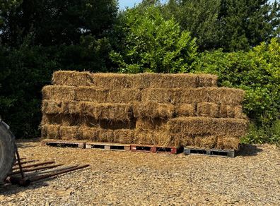 Small square bales of rushes/hay