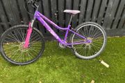 Apollo Inspire Girls Mountain Bike - Purple and Pink
